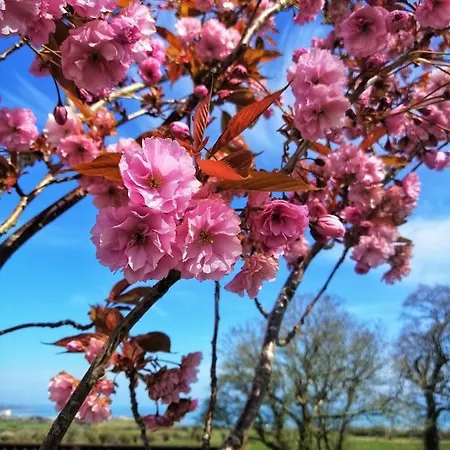 Moneylands Farm Nocleg ze śniadaniem
