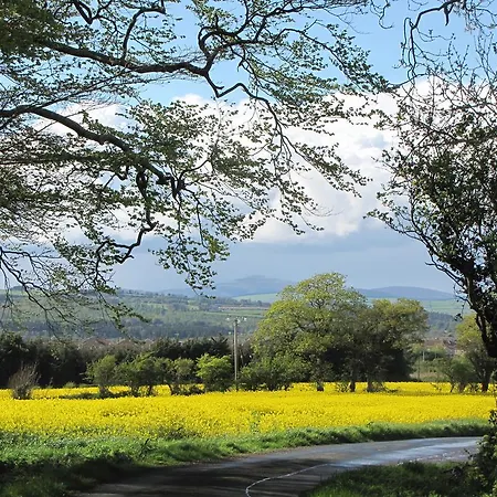 Nocleg ze śniadaniem Moneylands Farm