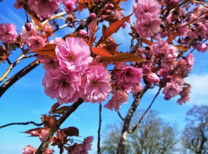 Moneylands Farm Bed & Breakfast