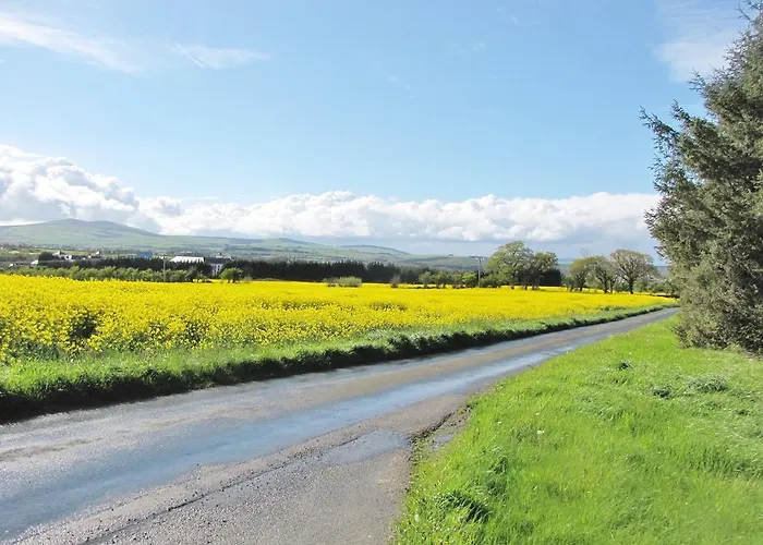 Bed & Breakfast Moneylands Farm Arklow